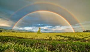 farm-start-homesteading-double-rainbow