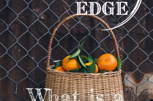 what is a modern homestead