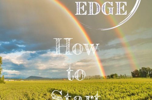 how to start homesteading