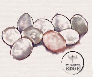 Watercolor Eggs
