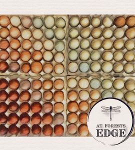 Eggs in a rainbow pattern drawn in pastel