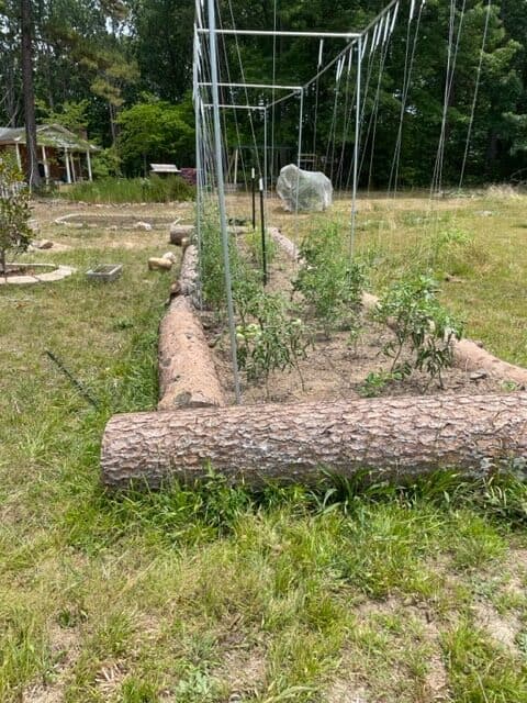 log raised garden bed