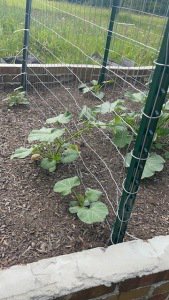 vertical gardening fence panel trellis