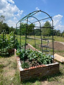 vertical gardening cucumber net trellis