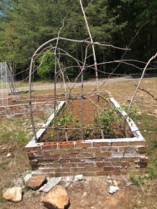 vertical gardening stick trellis