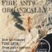 tackling fire ants organically
