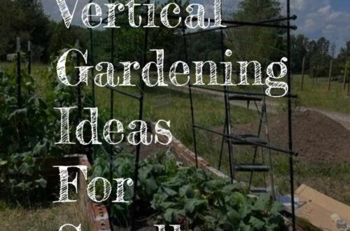 vertical gardening ideas for small spaces