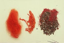 Process of wool being dyed scarlet with the Kermes scale insect.