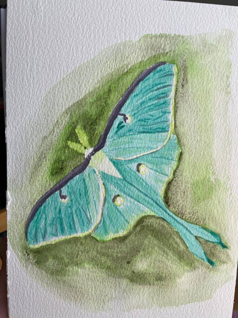 multiple watercolor techniques examples including scumbling, sgraffito