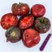 sliced cherokee purple tomato