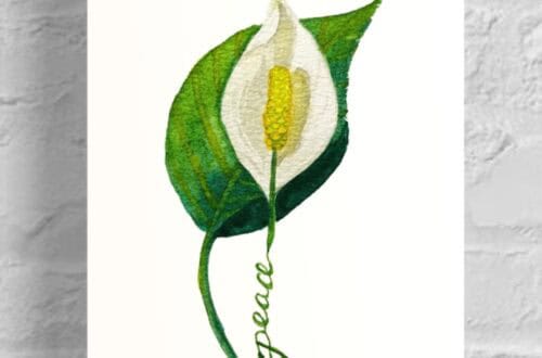 Peace Lily Flowers of the Spirit Collection by Raeanna Tilly the Artist of Hope, watercolor art, floral art, scripture art