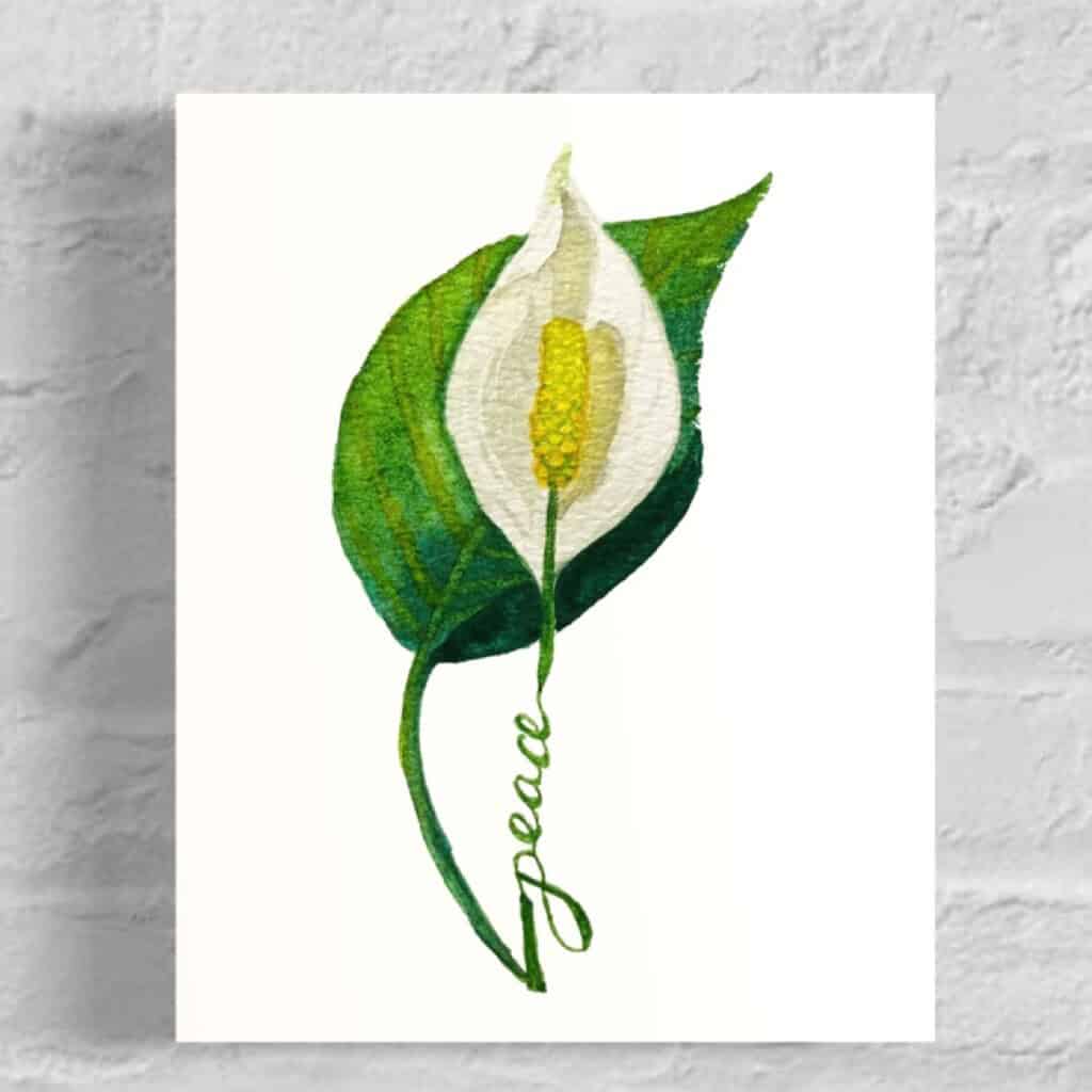 Peace Lily Flowers of the Spirit Collection by Raeanna Tilly the Artist of Hope, watercolor art, floral art, scripture art