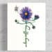 longsuffering aster Flowers of the Spirit Collection by Raeanna Tilly the Artist of Hope, watercolor art, floral art, scripture art