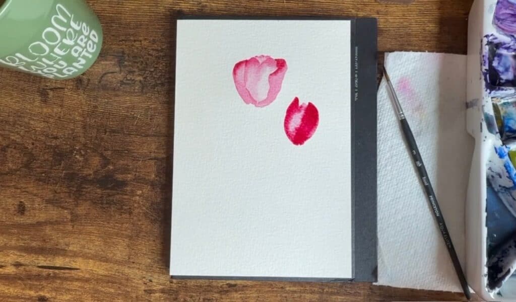 2nd flower watercolor tulip