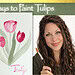easy watercolor tulip painting tutorial for reluctant artists only using 3 colors, loose and easy, 3 different techniques