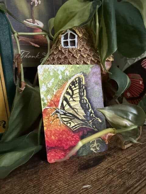 butterfly & lantana orange glow in a purple haze Watercolor ACEO Raeanna Tilly